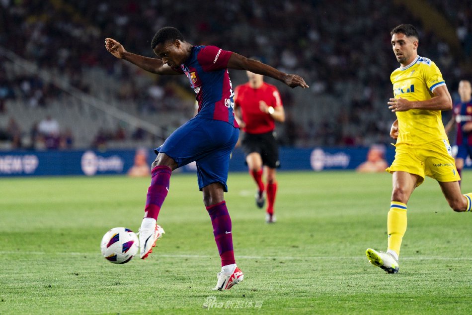 波鸿将在主 波鸿将在主